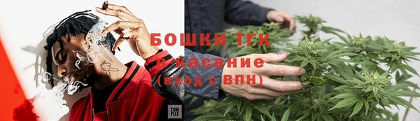хмурый Арсеньев