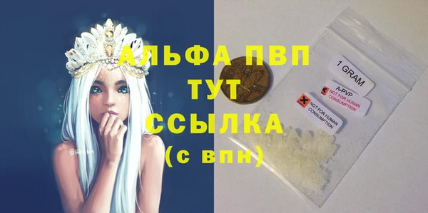 Альфа ПВП Магадан