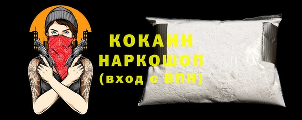 хмурый Арсеньев