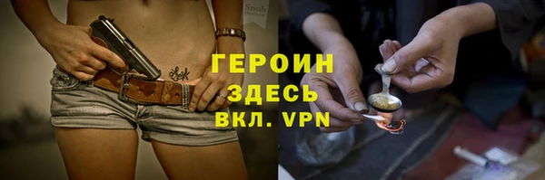 хмурый Арсеньев