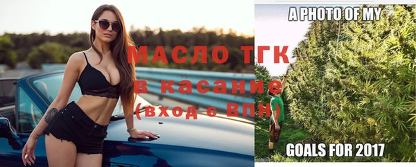 хмурый Арсеньев